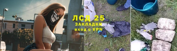 ГАЛЛЮЦИНОГЕННЫЕ ГРИБЫ Липки