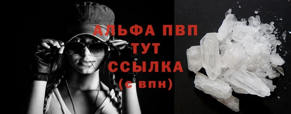 ECSTASY Ладушкин