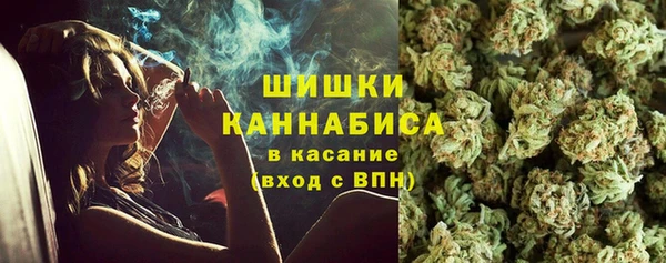 ГАЛЛЮЦИНОГЕННЫЕ ГРИБЫ Липки