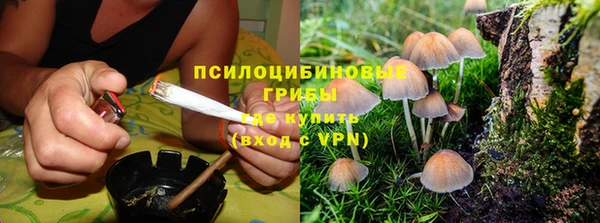 соль ск Лабытнанги