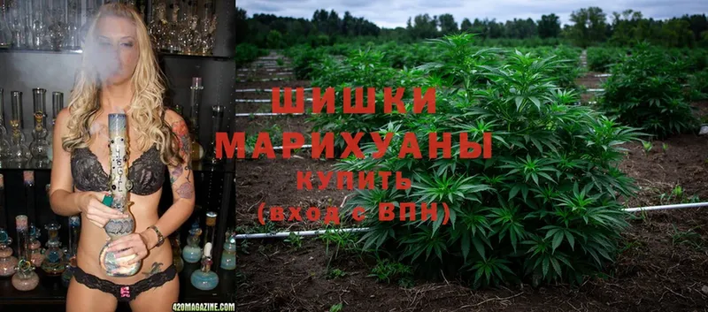 Шишки марихуана Ganja  хочу   Новая Ляля 